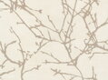 Koberec Acacia Crema