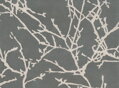 Koberec Acacia Charcoal