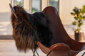 Kůže Icelandic Sheepskin