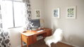 Kůže Icelandic Sheepskin