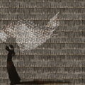 Tapeta Poid plume