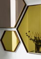 Zrcadlo Visual Hexagonal 