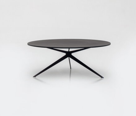 Konferenční stolek Tree 